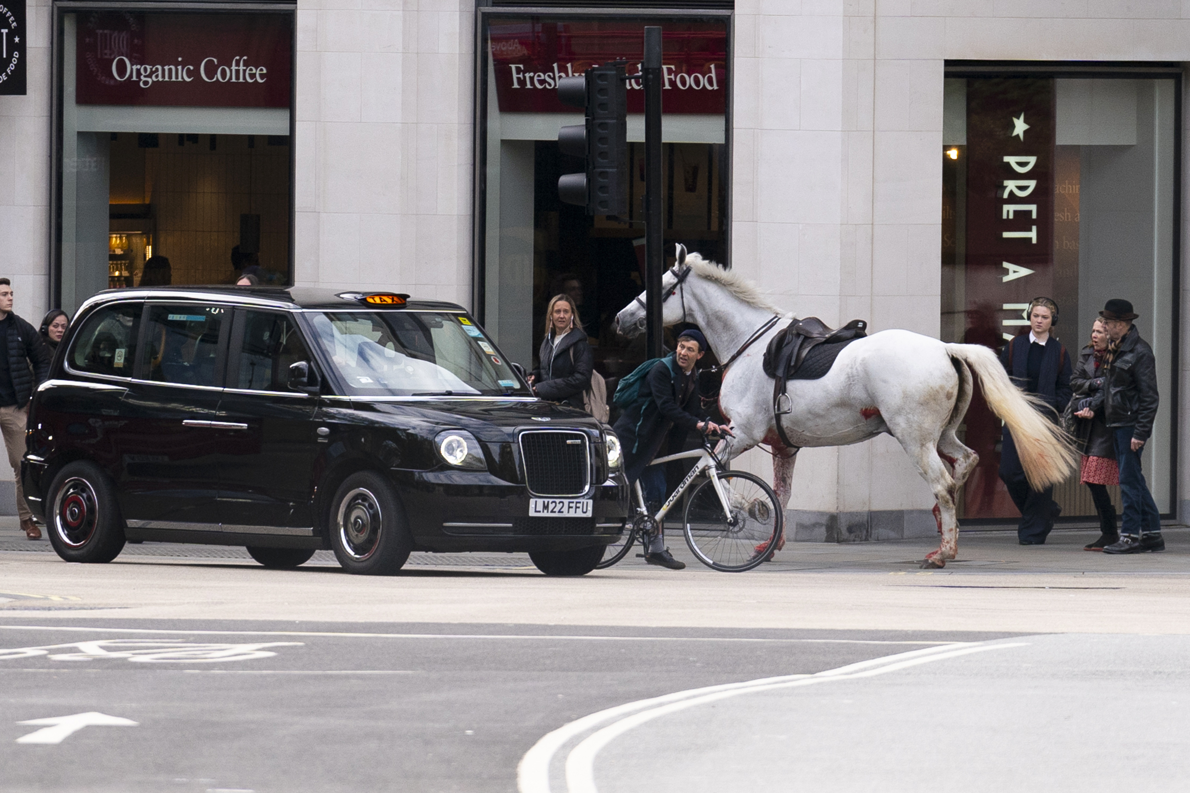 Uno de los caballos chocó contra un taxi negro