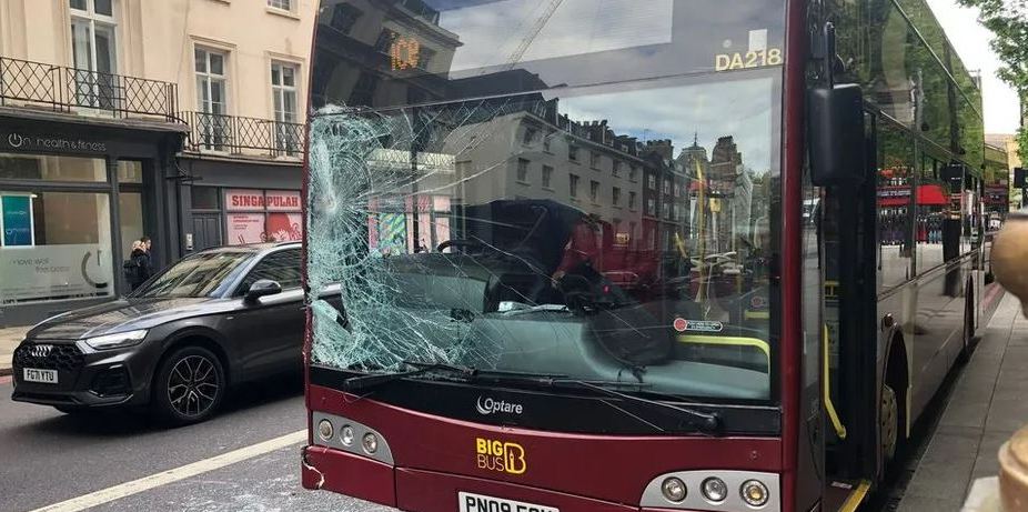 Uno de los animales rompió el parabrisas de un autobús